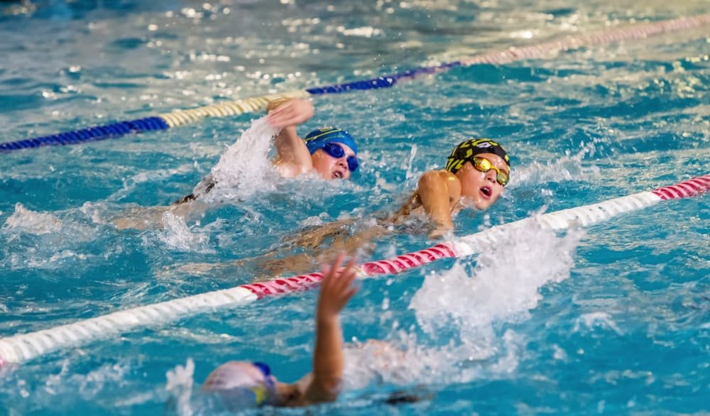 swimmers swim along tracks in sports pool for swimming