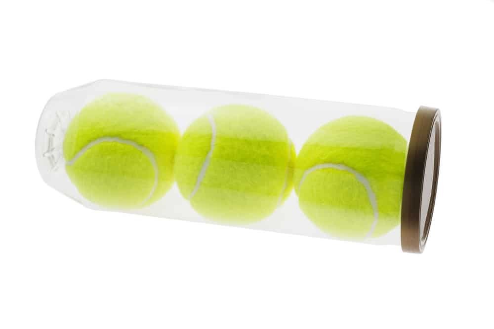 Three new yellow tennis balls in plastic container