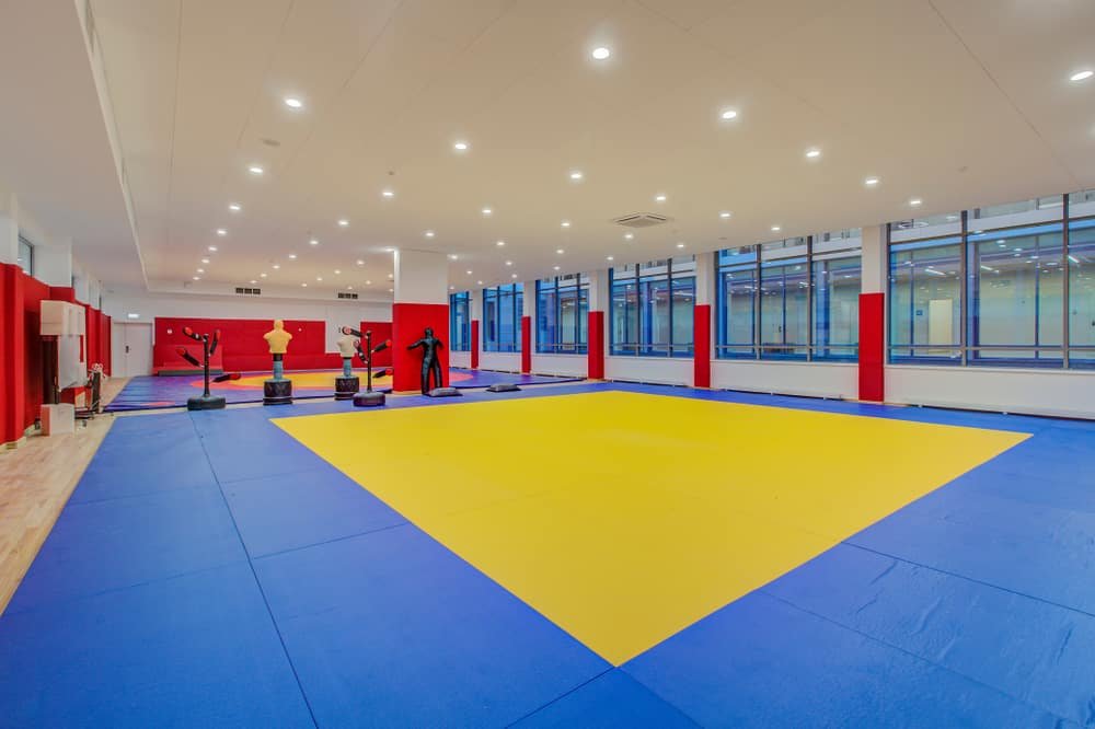 Hall of martial arts with fighting ring