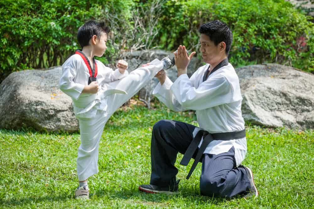 taekwondo kick in green park